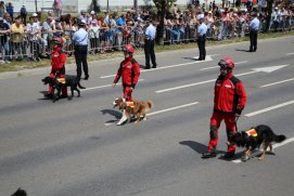 Fédération Nationale des Pompiers